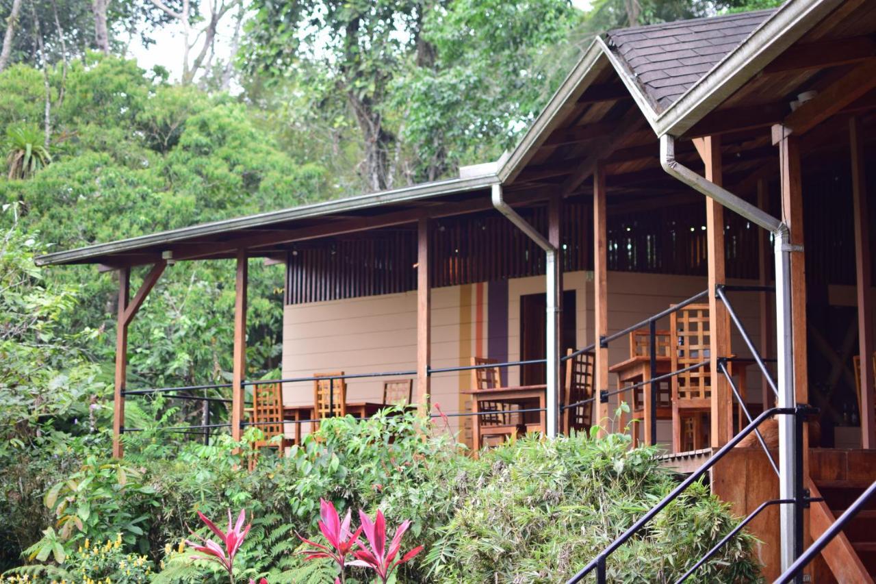 Hamadryade Lodge Misahualli Ngoại thất bức ảnh