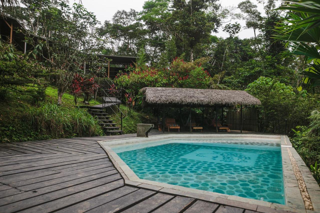 Hamadryade Lodge Misahualli Ngoại thất bức ảnh